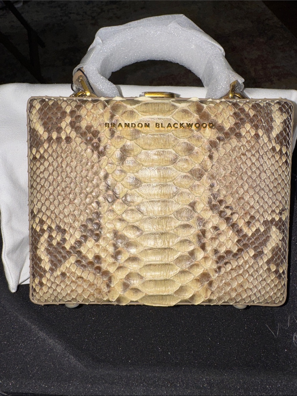 Brandon Blackwood Python Top-Handle Bag in Beige and Brown